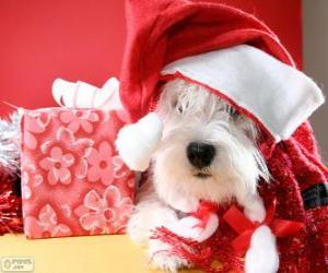 yapboz Noel Baba şapkası ve yeteneği ile köpek